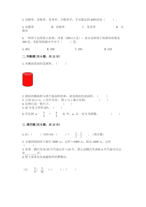沧州市盐山县六年级下册数学期末测试卷及答案一套.docx
