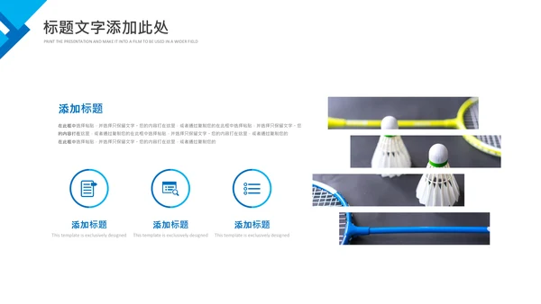 羽毛球比赛协会教学生产企业总结PPT模板
