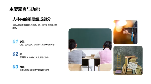 运动美学 高效学习