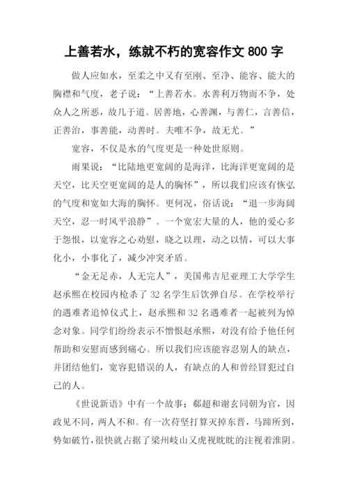 上善若水-练就不朽的宽容作文800字.docx