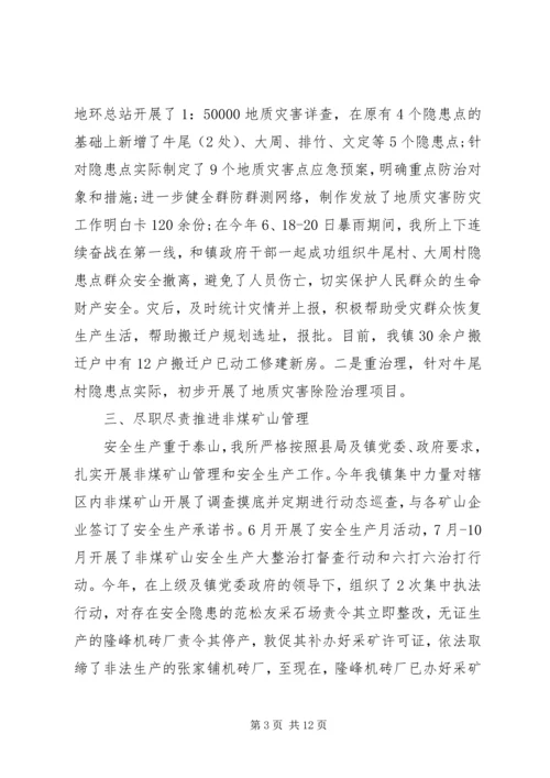 乡镇国土所个人工作总结集锦.docx