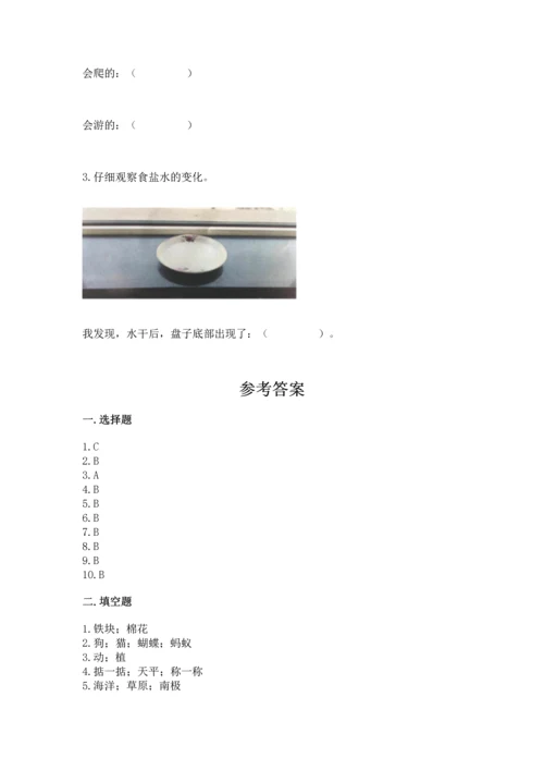 教科版一年级下册科学期末测试卷【网校专用】.docx