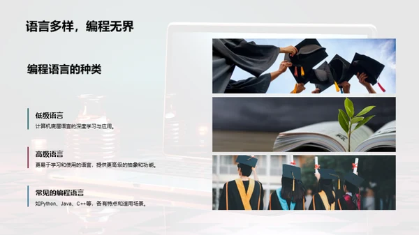 编程世界探秘