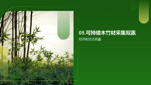 木竹绿动力