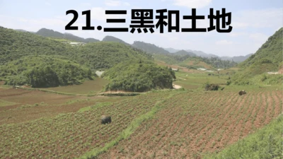 第21课 《三黑和土地》   课件
