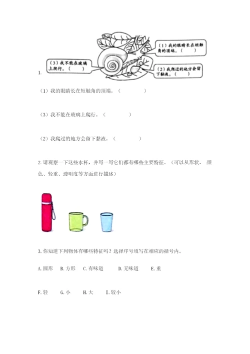 教科版一年级下册科学期末测试卷精品（全优）.docx