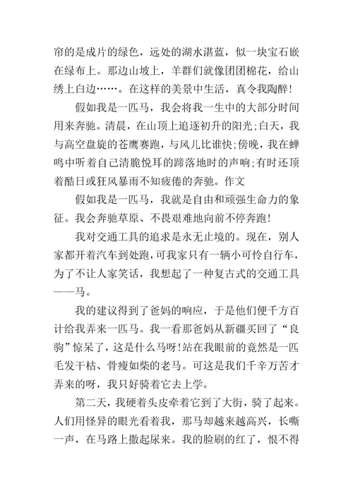 假如我有一匹马作文300字小学作文
