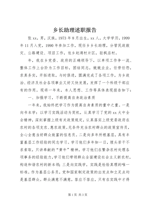 乡长助理述职报告.docx