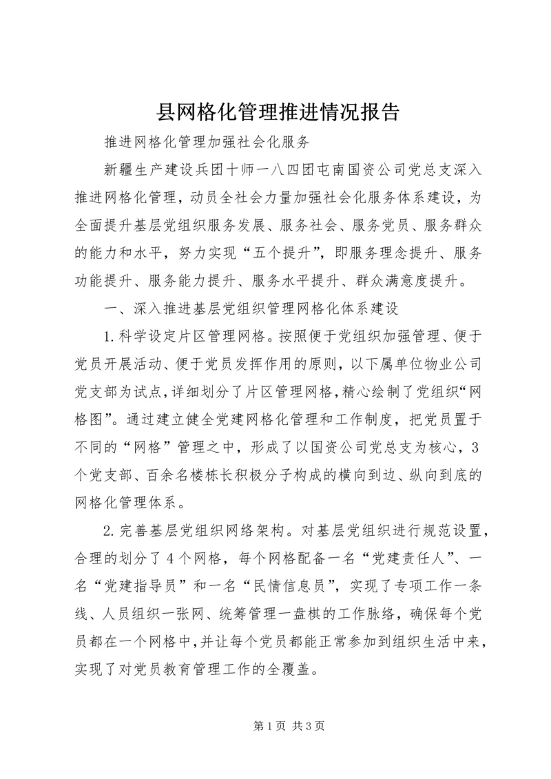 县网格化管理推进情况报告_1.docx