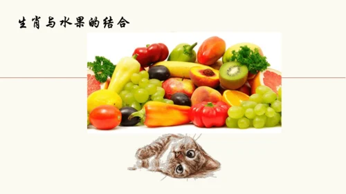 人美版七上 第四课 生肖的联想 课件+素材
