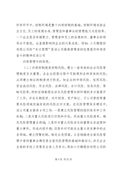 企业内部控制存在的问题及对策.docx