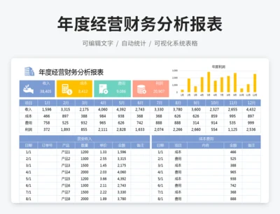年度经营财务分析报表