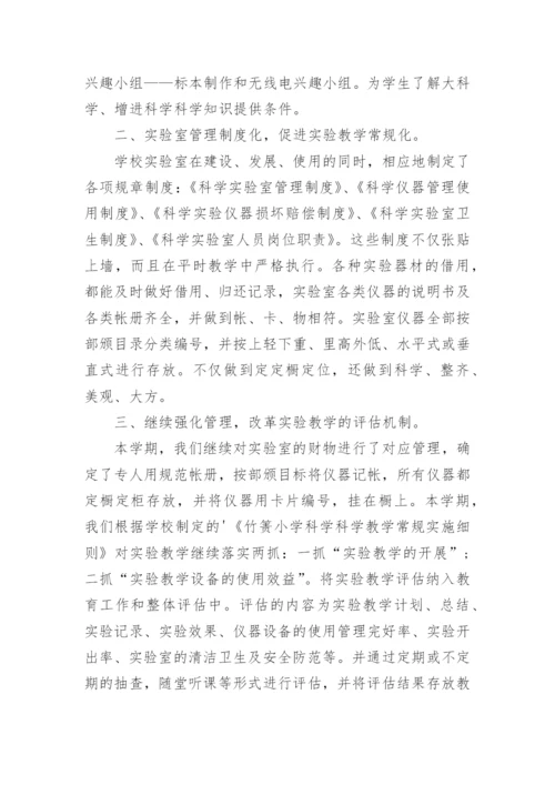 小学实验教学工作总结.docx