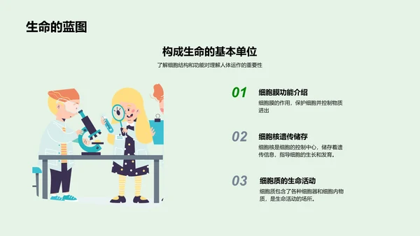 人体生理系统讲解