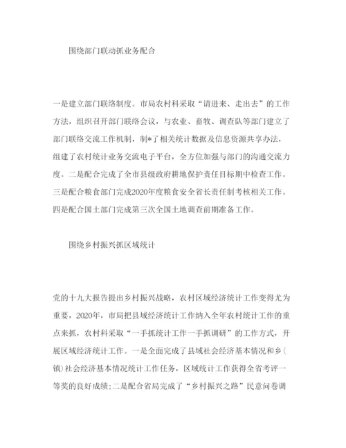 精编年市农村统计工作报告范文.docx