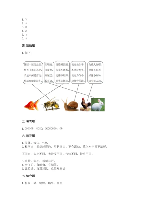 教科版小学科学一年级下册期末测试卷精品（名校卷）.docx