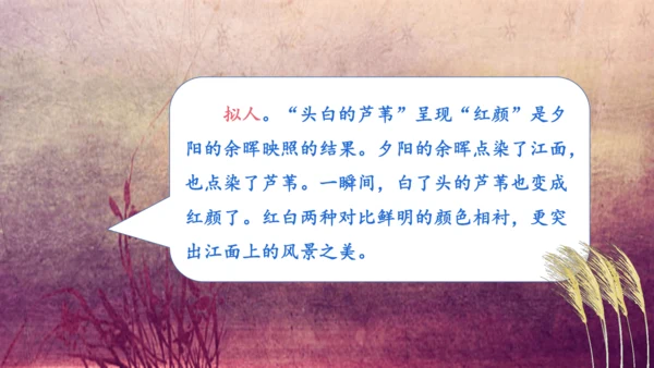 3.《现代诗二首》课件