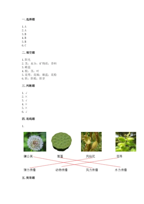 教科版科学四年级下册第一单元《植物的生长变化》测试卷完整.docx