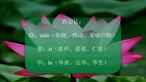二下《古诗二》第一课时