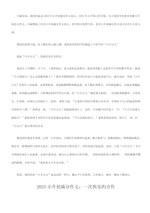 2023年小升初满分作文优质资料.docx