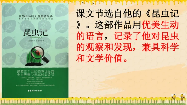 14《蜜蜂》课件