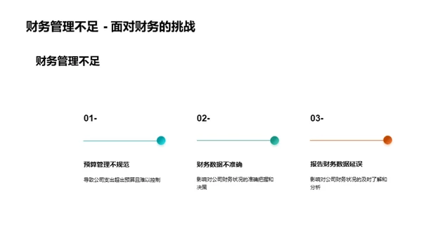 财务年度分析