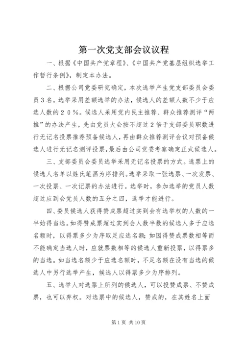 第一次党支部会议议程.docx