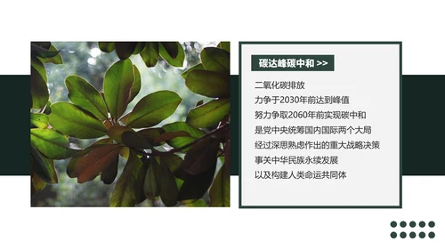 低碳经济碳达峰碳中和新理念PPT党课