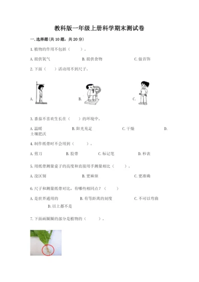 教科版一年级上册科学期末测试卷含答案（新）.docx