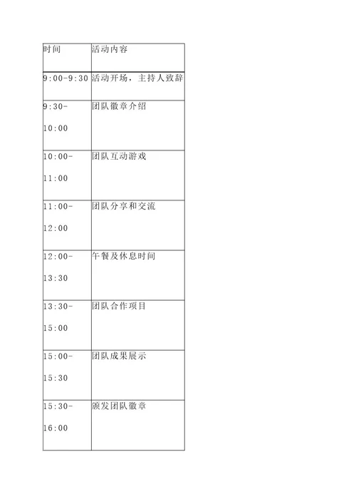 戴团徽亮身份活动的策划案