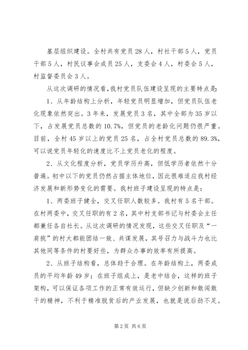 村级党组织建设情况调研报告.docx