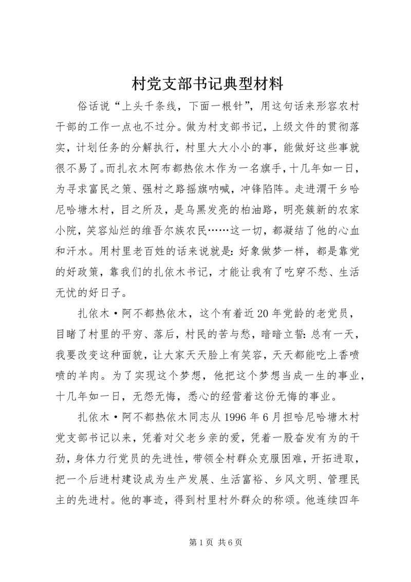 村党支部书记典型材料.docx