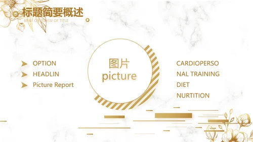 公司品牌策划方案工作总结计划动态PPT模板