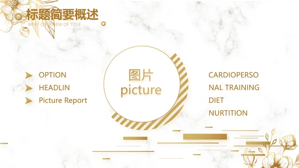 公司品牌策划方案工作总结计划动态PPT模板