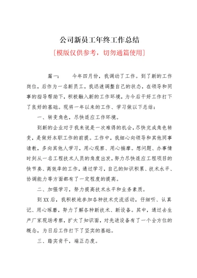 公司新员工年终工作总结(共5页)