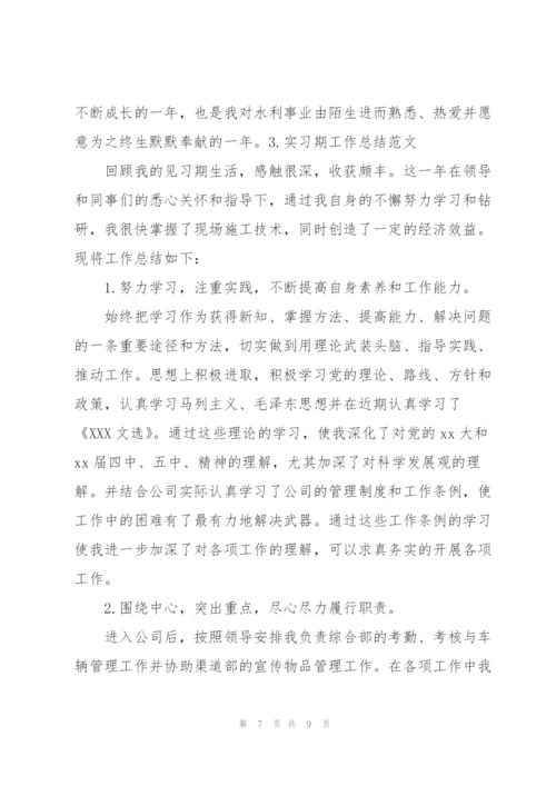 实习期工作总结范文3篇.docx