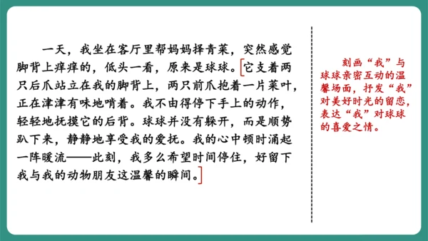 七年级语文上册第五单元 任务三 记述与动物的相处 课件-【课堂无忧】新课标同步核心素养课堂