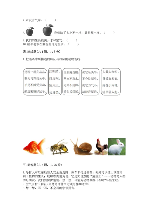 教科版一年级下册科学期末测试卷精品（预热题）.docx