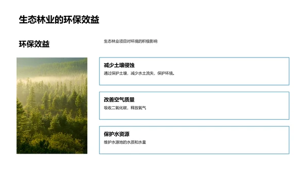 生态林业创业报告PPT模板