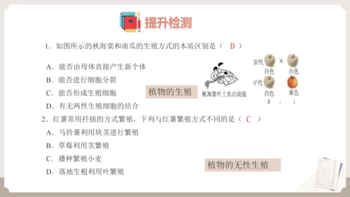 复习专题五生物的生殖和发育（串讲课件）-八年级生物上学期期末考点大串讲（人教版）(共20张PPT)