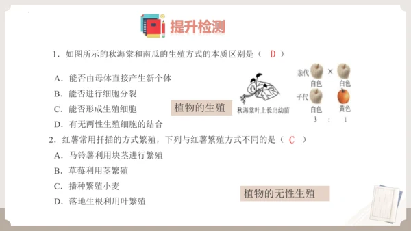 复习专题五生物的生殖和发育（串讲课件）-八年级生物上学期期末考点大串讲（人教版）(共20张PPT)