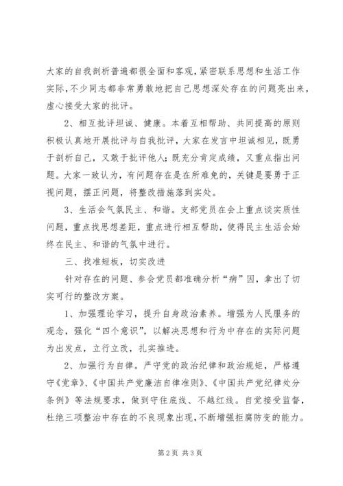 支部专题组织生活会情况报告.docx