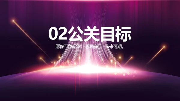 紫色公司品牌发布会策划方案工作总结PPT
