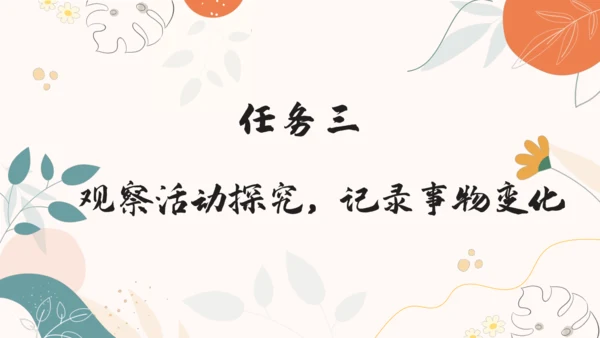 【四上课件】习作三：写观察日记