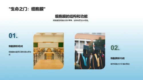 揭秘生命之源