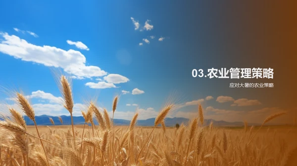 大暑农业应对策略