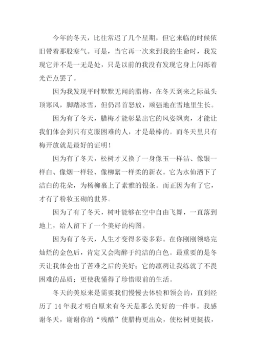 写冬天的作文.docx