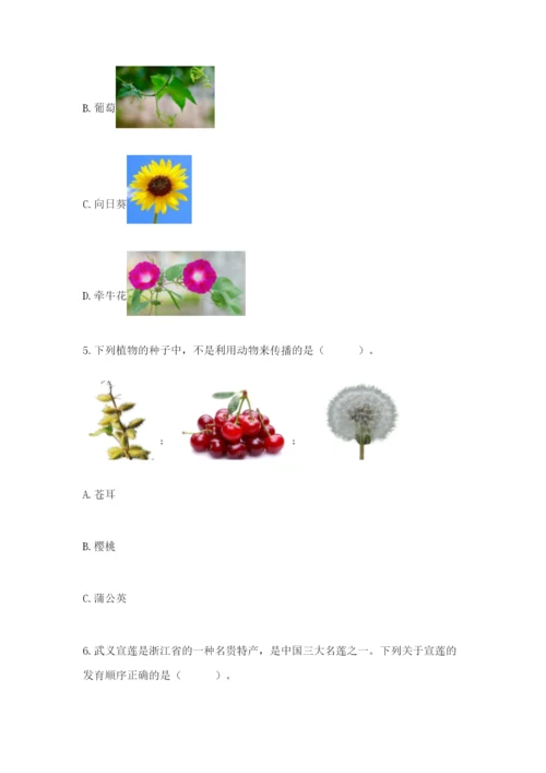 教科版科学四年级下册第一单元《植物的生长变化》测试卷必考.docx