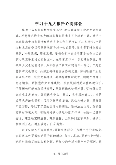 学习十九大报告心得体会.docx