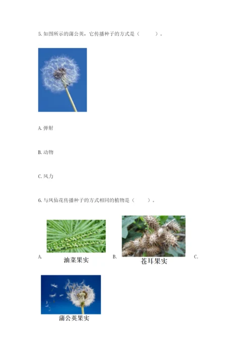 科学四年级下册第一单元《植物的生长变化》测试卷带答案.docx